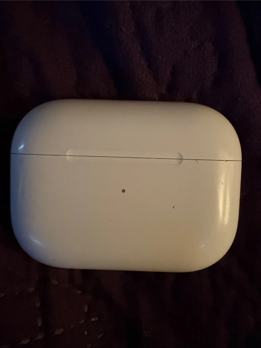 Apple White AirPods Pro Charging Case